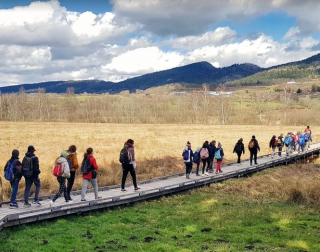 Capture d&rsquo;&eacute;cran (288).png