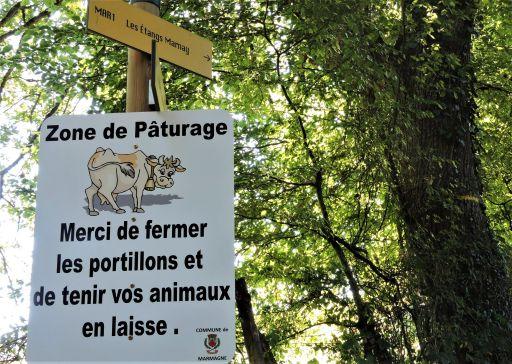 De nouveau panneaux install&eacute;s sur la balade verte du Bois des vignes