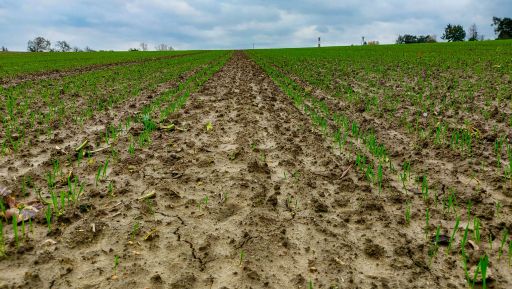 Restriction temporaire de certains usages de l'eau sur le d&eacute;partement de Sa&ocirc;ne et Loire