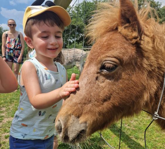 Sortie au parc animalier et f&ecirc;te de l&rsquo;&eacute;t&eacute; &agrave; la micro cr&egrave;che&nbsp;: