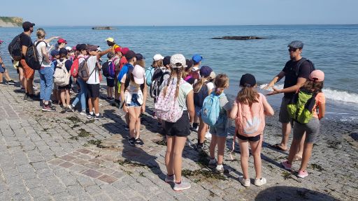 2 classes de Marmagne ont profit&eacute; d'un s&eacute;jour en Normandie
