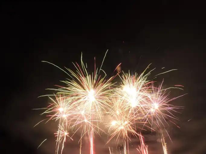 Succ&egrave;s de la f&ecirc;te du village