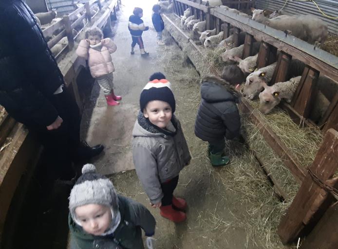 Sortie &agrave; la ferme pour les grands de la micro cr&egrave;che