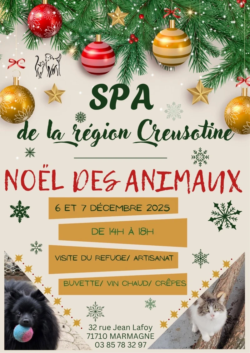Noël des animaux