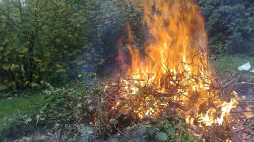 Arr&ecirc;t&eacute; pr&eacute;fectoral portant restriction temporaire des usages du feu en pr&eacute;vention du risque d'incendie