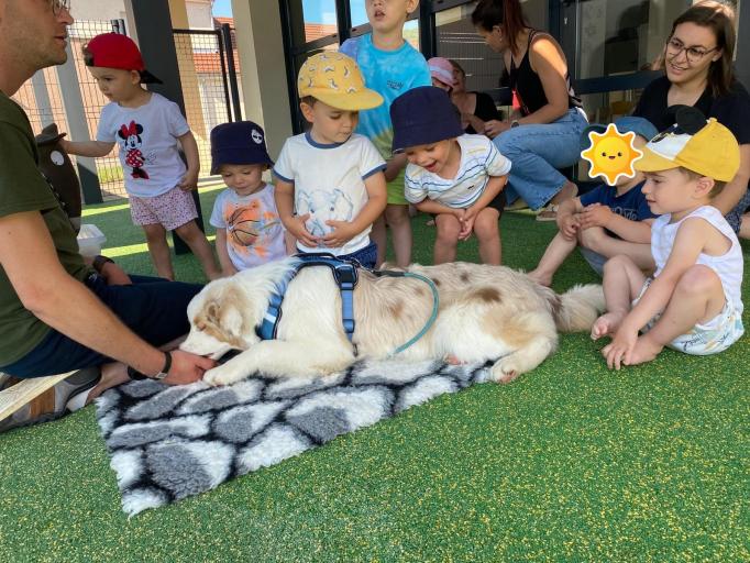 Animation avec Julien d&rsquo;Anim&rsquo;maux accompagn&eacute; de son chien Tornade et de la peluche P&rsquo;tit Loup &agrave; la micro-cr&egrave;che