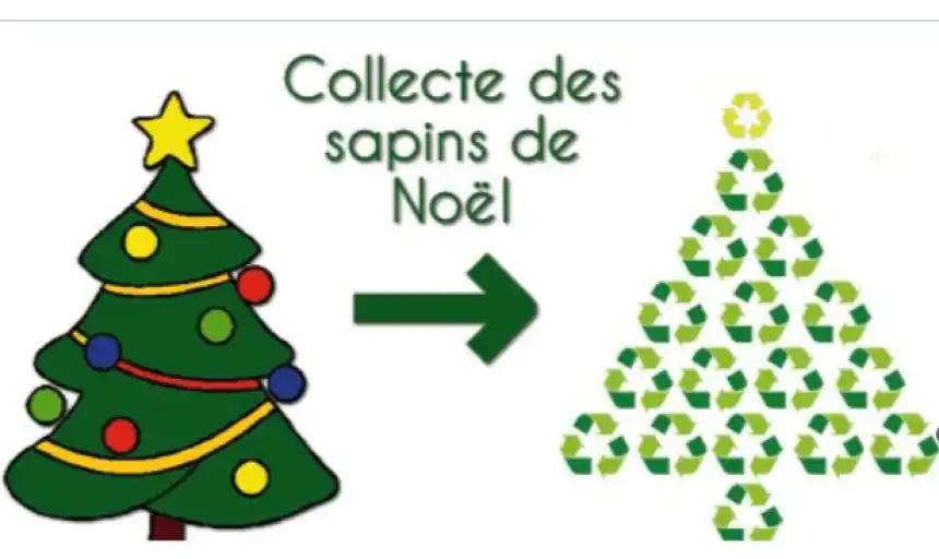 Collecte des sapins de No&euml;l &agrave; proximit&eacute; de la gare