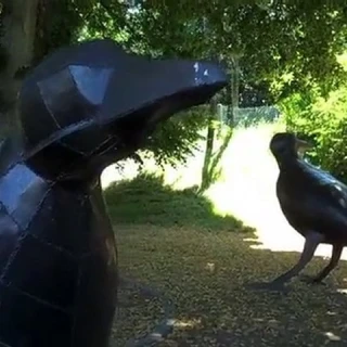 Les Trois Corbeaux de Marmagne