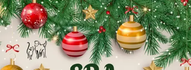 Noël des animaux